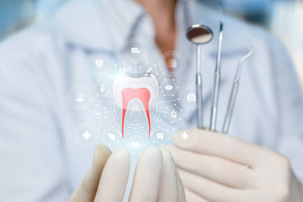 Best Preventive Dentistry  in Portland, ME